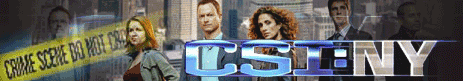 csi new york