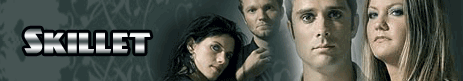 skillet
